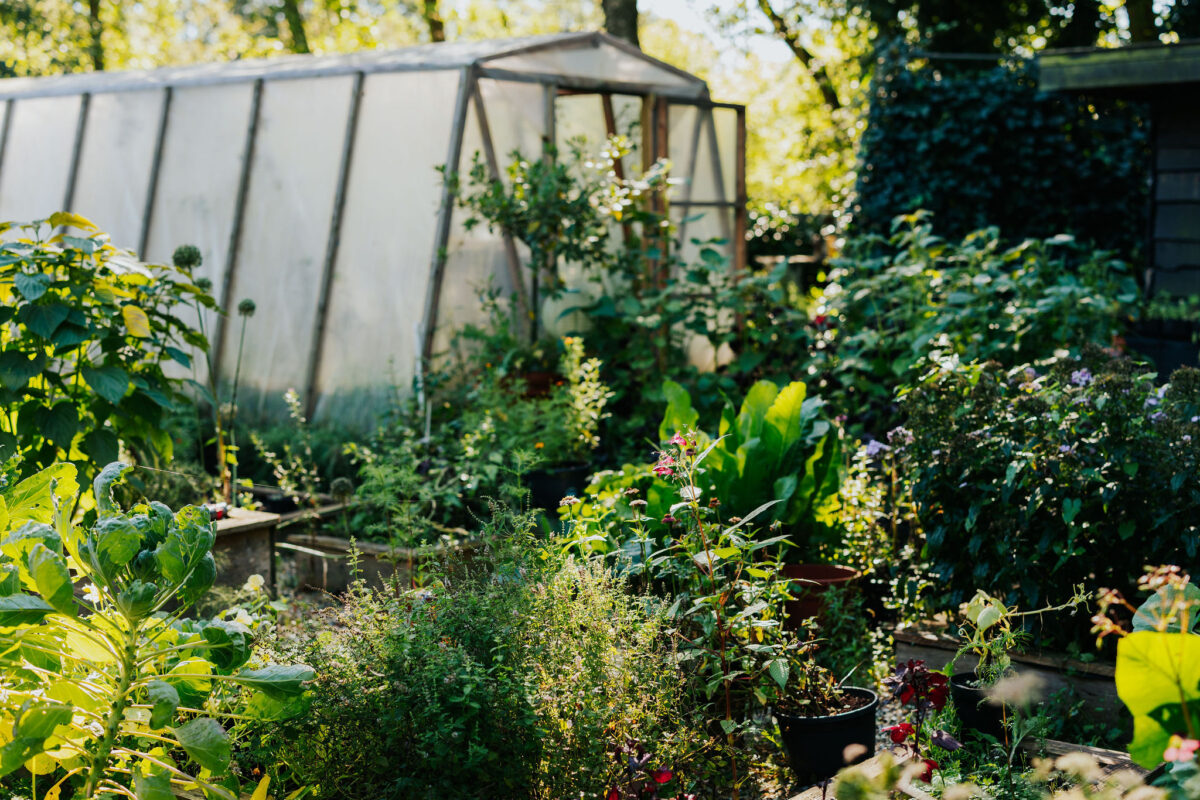 20230906Niemeijer-105-1200×800